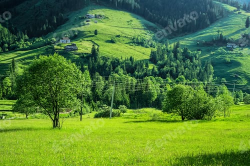 Preview: beautiful summer monntain landscape