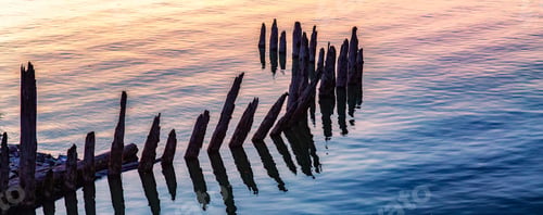 Preview: Wooden poles sticking out of water, Panorama Background. Sunset