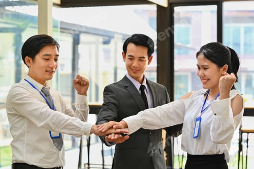 Preview: Happy businesspeople stacking hands together, celebrating completion of project.