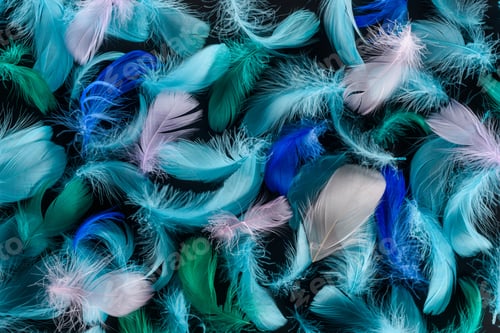 Preview: seamless background with blue, green and pink feathers isolated on black