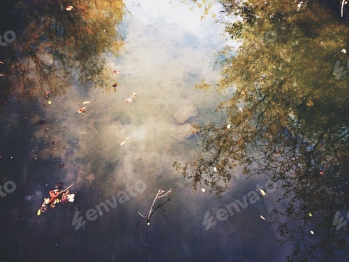 Preview: Reflection on water of fall leaves