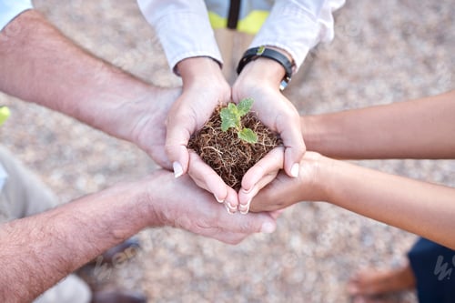 Preview: Plant, group of people and hands outdoor gardening, agriculture and business growth collaboration i