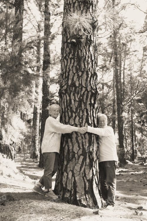Preview: Two caucasian senior people hugging a tree trunk in the woods looking at camera. Save the planet