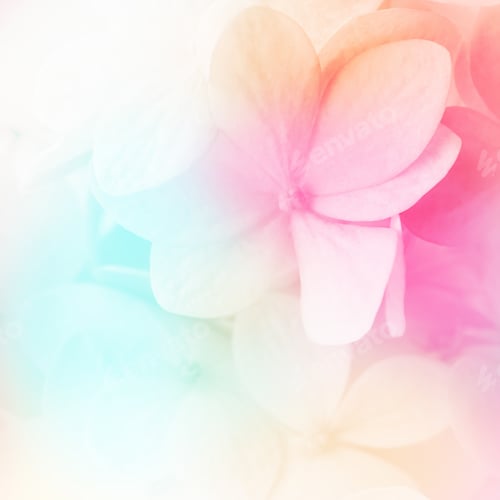 Preview: Colorful Flowers In Soft Color And Blur Style For Background