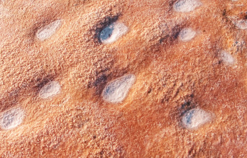 Preview: Top close up view of surface on the beach. Details of colorful soil