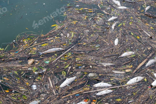 Preview: Sea pollution with many trash