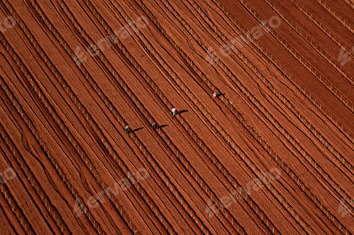 Preview: Aerial View of Farm Workers Planting in Red Soil Furrows