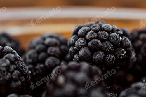 Preview: Frozen blackberries in frost.