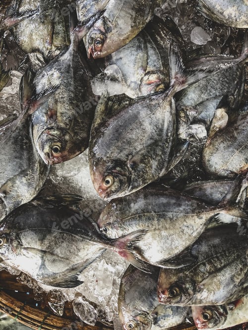 Preview: Top view on an assortment loose fish to sale at a fish market, H