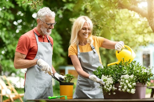 Preview: Retirement Hobbies. Happy Mature Couple Replanting Potted Flowers In Garden