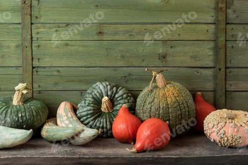 Preview: Mixed Winter Squash and Pumpkins in Still Life
