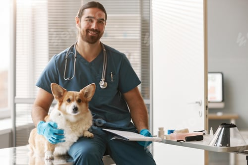 Preview: Young successful veterinarian in uniform sitting by workplace in clinics