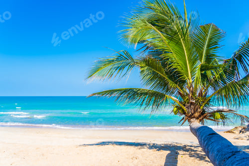 Preview: Beautiful tropical beach sea ocean with coconut palm tree