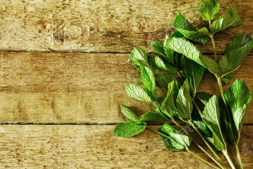 Preview: Bunch of fresh mint on wooden table