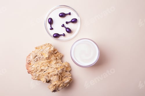 Preview: Top view of open box with white cream and cosmetics capsules in petri dish near it.