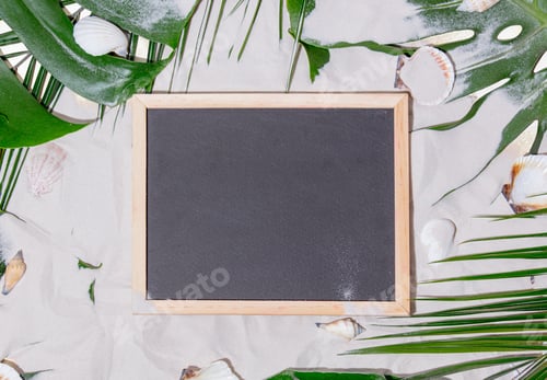 Preview: Board and seashells with palm leaves on a sand