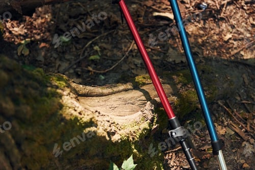 Preview: Close up view of touristic equipment that is in the forest