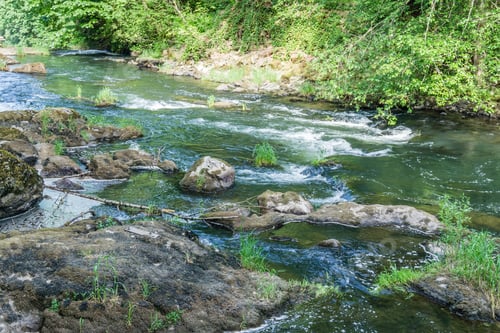 Preview: A View Of Rapids On The Deschutes River In Tumwater, Washington.
