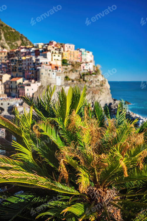 Preview: Manarola in Cinque Terre, Italy