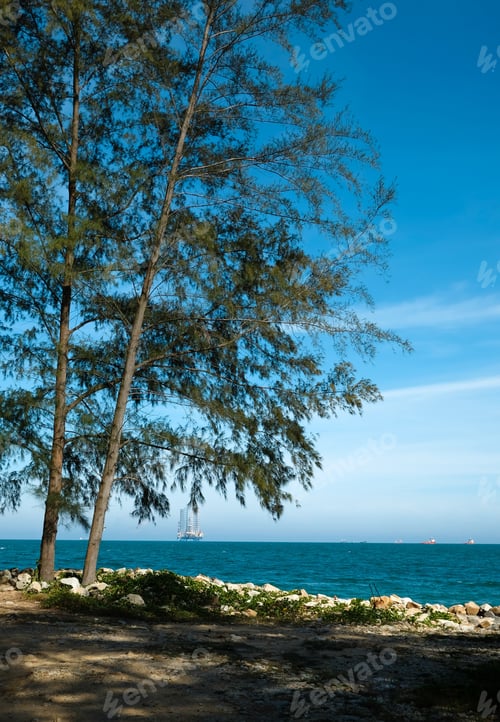 Preview: Sea side scenery with shady trees in Teluk Kalong, Terengganu, Malaysia.