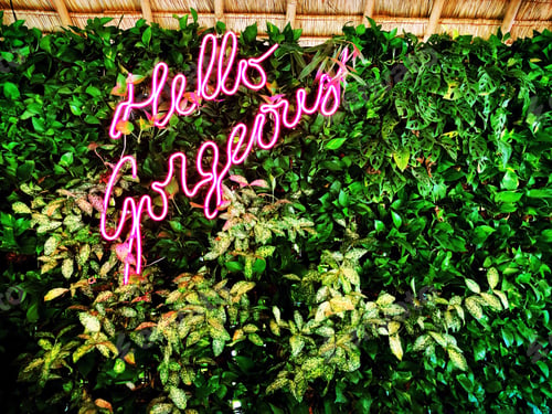 Preview: “Hello Gorgeous” pink neon sign at a tropical beach bar