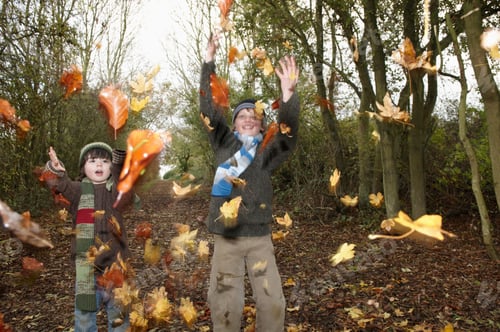 Preview: Boys throwing autumn leaves