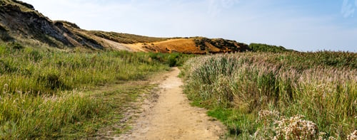 Preview: Morsum Clif natural reserve on the island Sylt