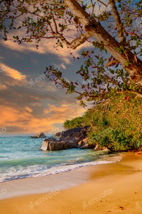 Preview: picturesque bright sunset landscape beach in Seychelles, nature vertical background
