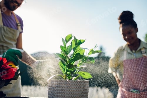 Preview: Multiracial couple transplanting flowers while working in a greenhouse