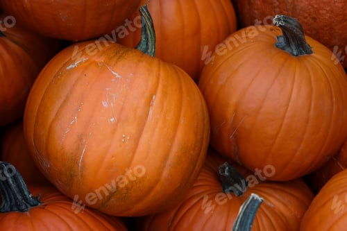 Preview: Pumpkins backgound.