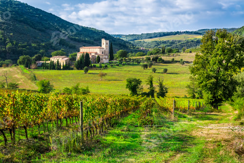 Preview: Vineyards and the monastery in Tuscany in Italy
