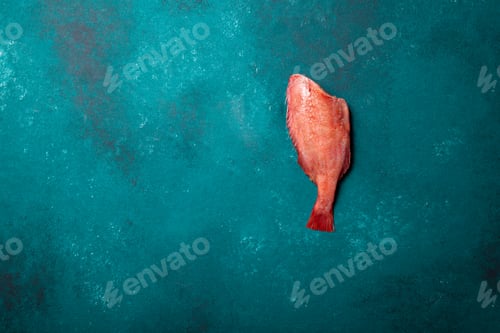 Preview: Fresh red raw seabass on turquoise background