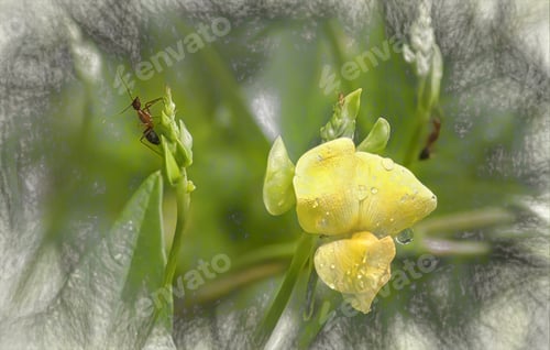 Preview: Close-up of an ant perched atop a leaf, looking inquisitively at a vibrant flower in the foreground