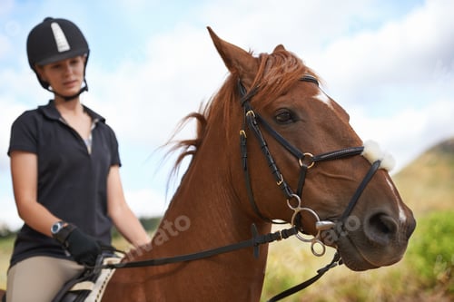 Preview: Experiencing nature on horseback