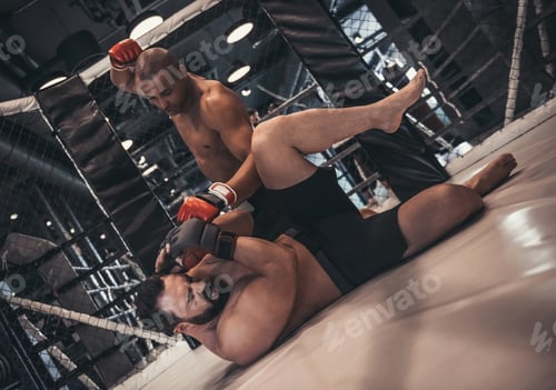 Preview: Wrestlers in the ring