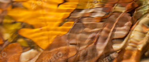 Preview: River Water, Sierra de Guadarrama National Park, Spain