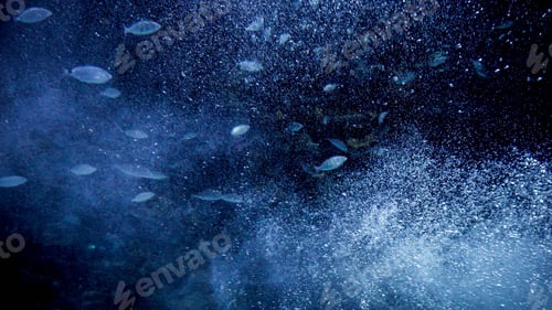 Preview: Abstract out of focus shot of swimming sea fishes and floating air bubbles in dark ocean water