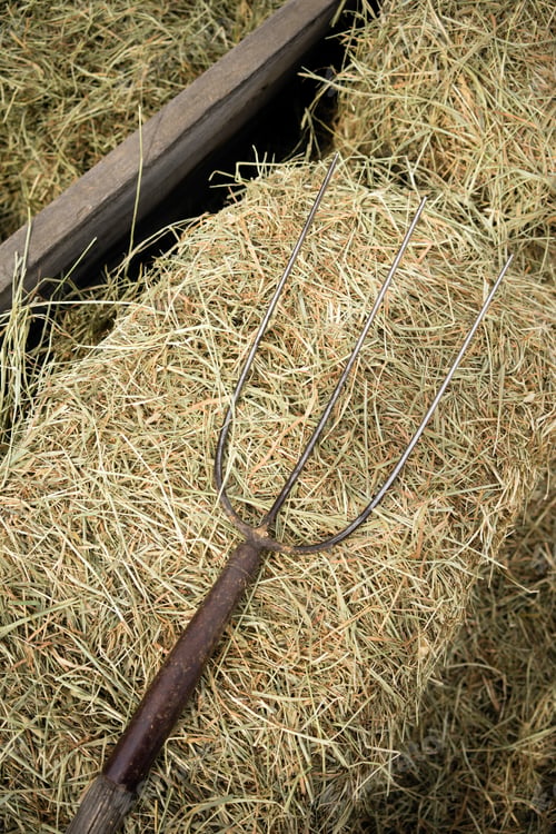 Preview: Old Wooden Farm Pitchfork Tool Implement Barn Equipment