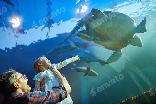 Preview: Cropped shot of a father and his little daughter looking at an exhibit in an aquarium