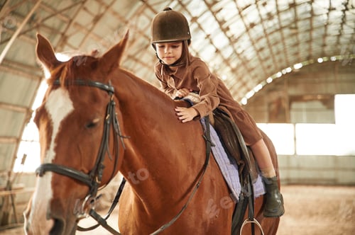 Preview: Riding the animal. Cute little girl is with horse indoors