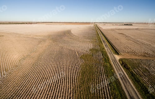 Preview: Cotton Plantation Green Energy Farm Field Wind Power Generation