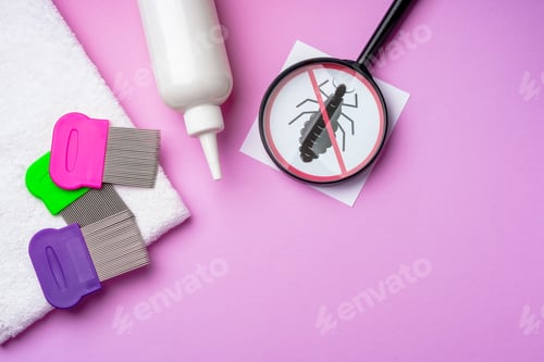 Preview: Anti lice combs and towel on pink background