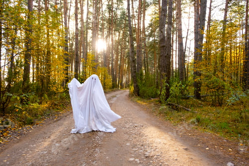 Preview: child in sheets with cutout for eyes like a ghost costume in an autumn forest