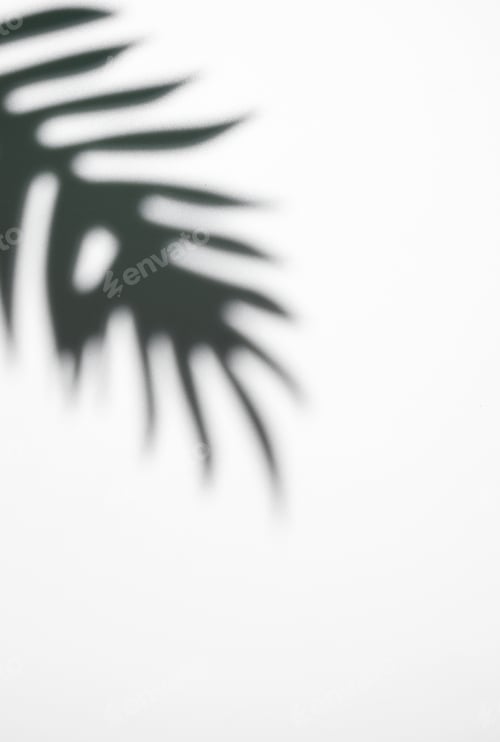 Preview: Shadows from palm leaves