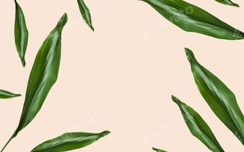 Preview: green leaves with blank space on beige background