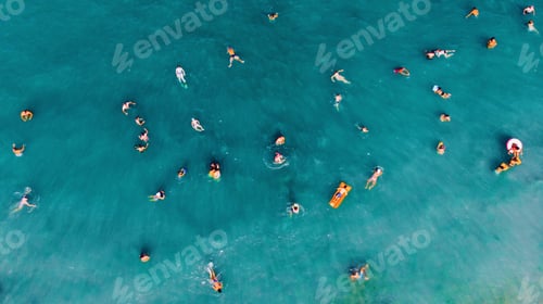 Preview: swimming