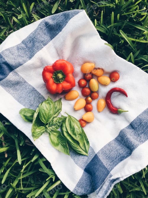 Preview: Fresh summer garden crop