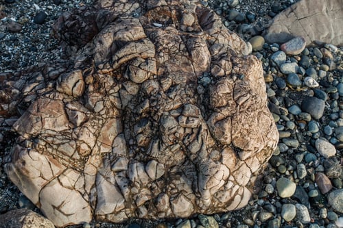 Preview: A Closeup Shot Of A Deeply Etched Rock On A Shoreline At Low Tide.