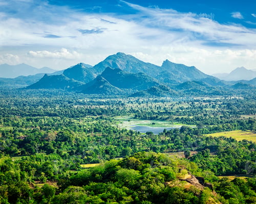 Preview: Sri Lankan landscape