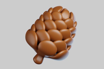 Preview: Brown seed cone